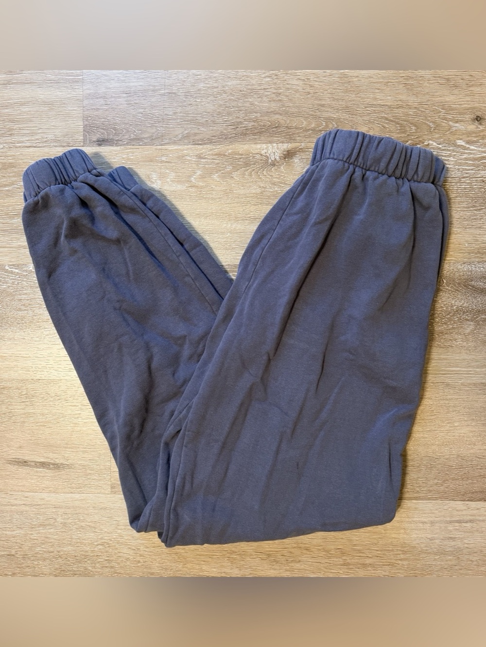 Brandy Melville Rosa Sweatpants John Galt Blue